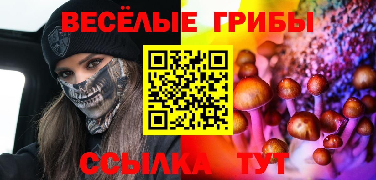 Черкесск  Галлюциногенные грибы мицелий  Вход с VPN  Галлюциногенные грибы MAGIC MUSHROOMS 