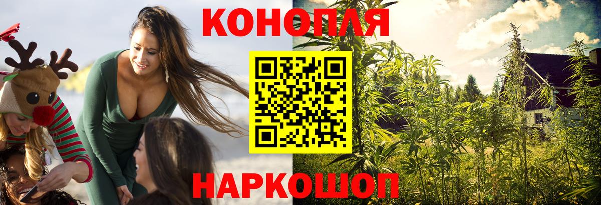 Бошки марихуана семена Черкесск